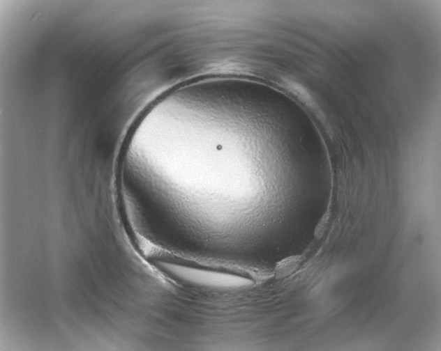 X0000063471331200601231434
