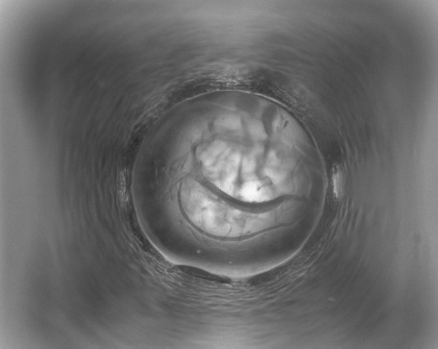 X0000063471347200601231434
