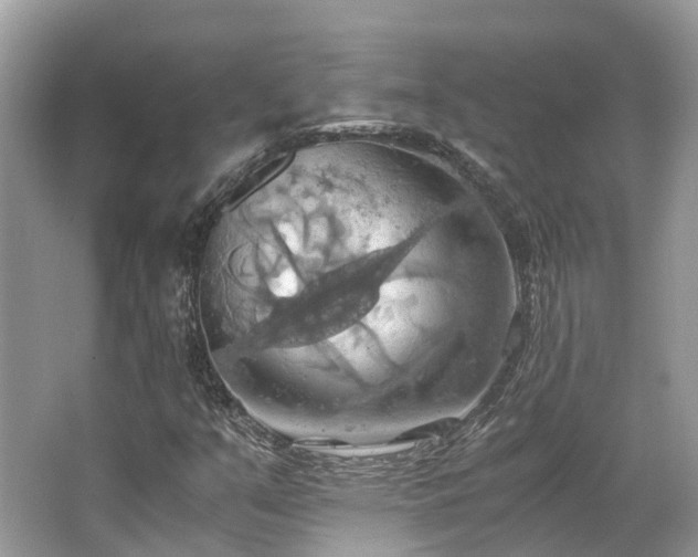X0000063471351200601231433