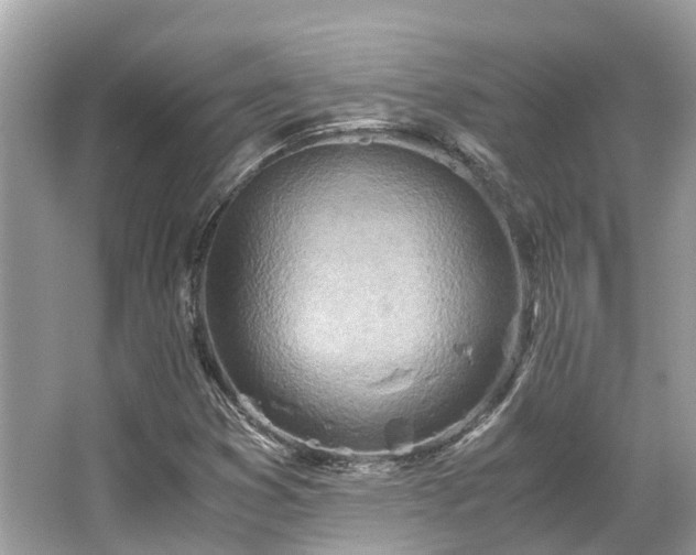 X0000063471353200601231433