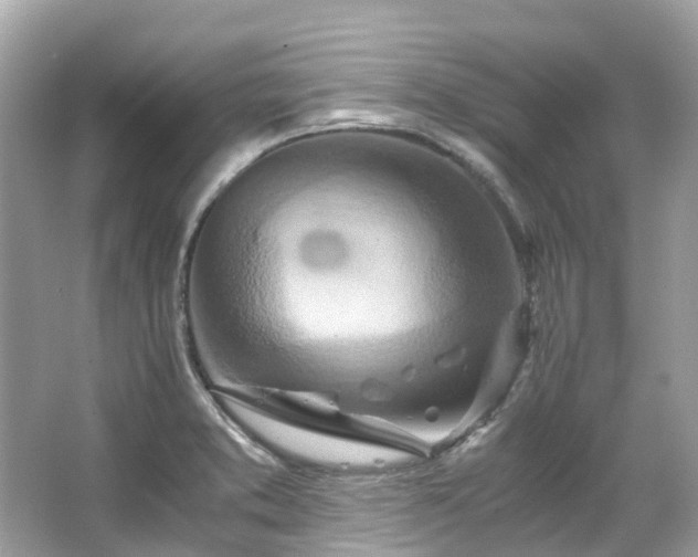 X0000063471373200601231433