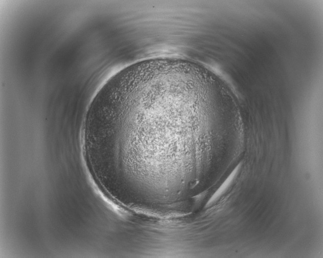 X0000063471383200601231433
