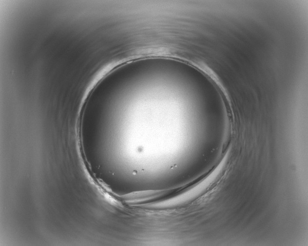 X0000063471389200601231433
