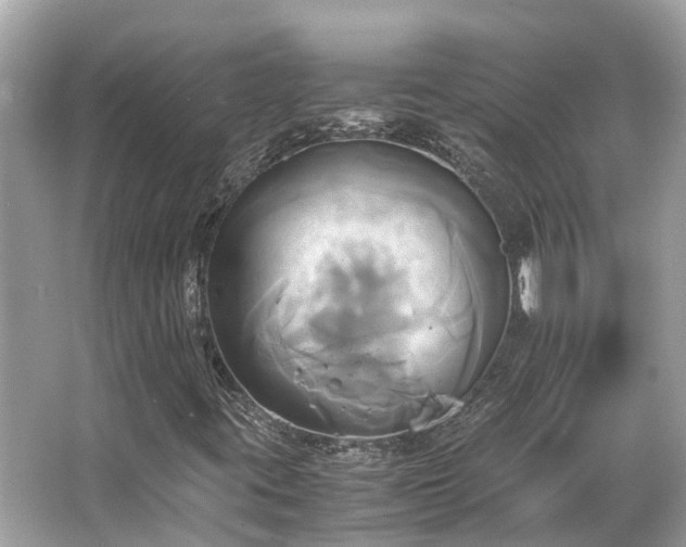 X0000063471395200601231432