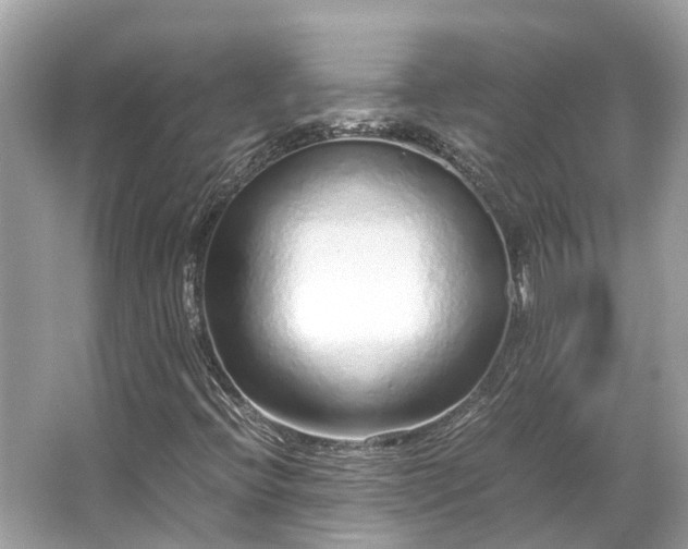 X0000063471396200601231432