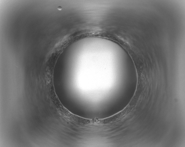 X0000063471447200601231432