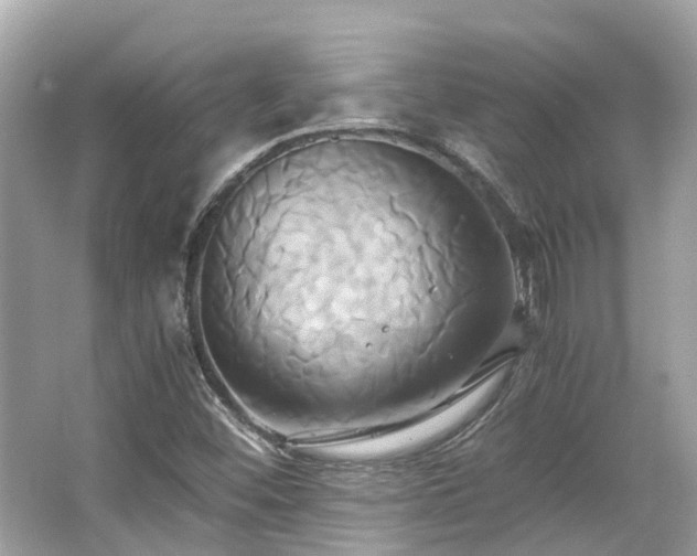 X0000063471452200601231432