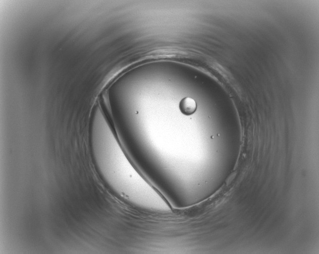 X0000063471465200601231432