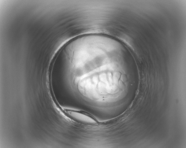 X0000063471468200601231431