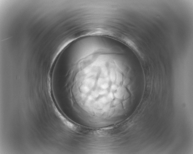 X0000063471476200601231431