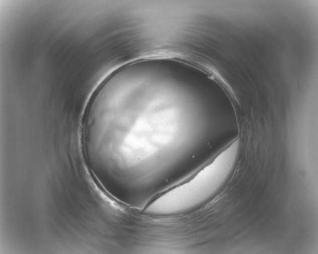 X0000063471484200601231431