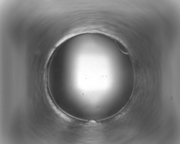 X0000063471526200601231431
