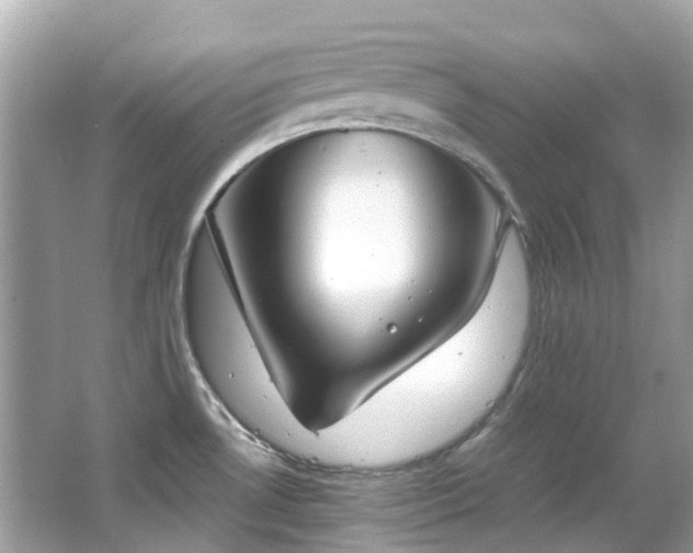X0000063471530200601231431