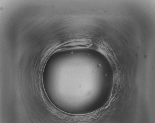 X0000063470001200601271641