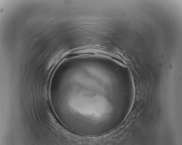 X0000063470002200601271641