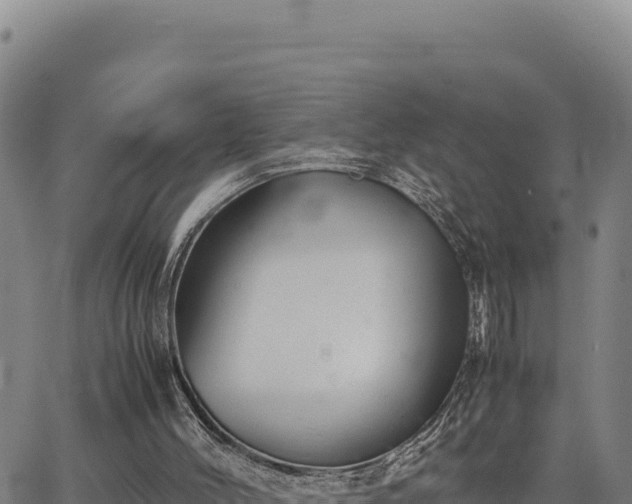 X0000063470004200601271641