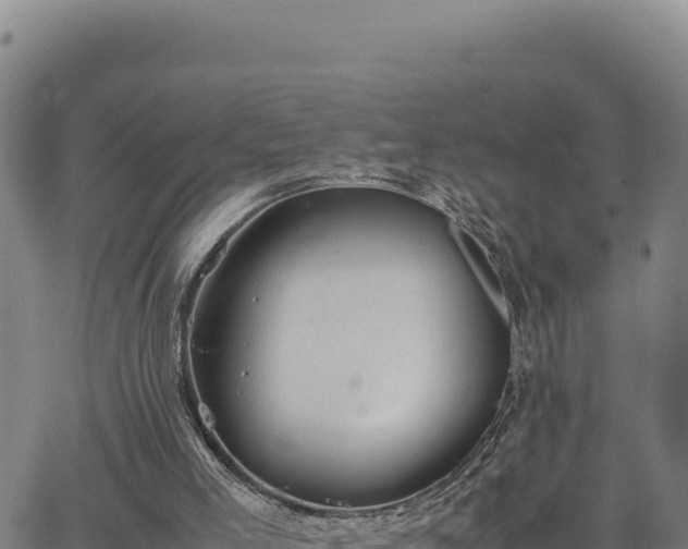 X0000063470005200601271641