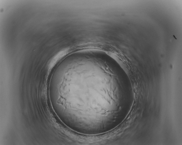 X0000063470006200601271641