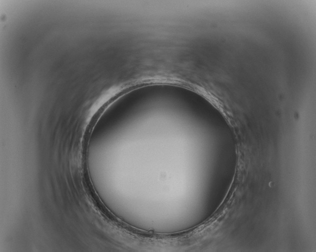 X0000063470008200601271641