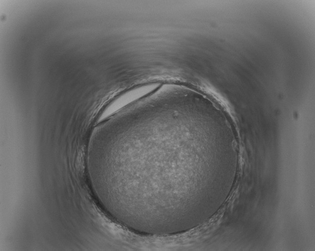 X0000063470009200601271641