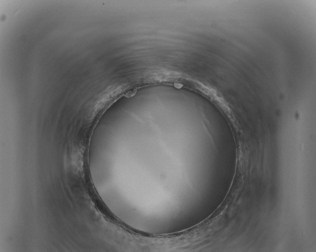 X0000063470010200601271641