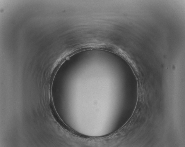 X0000063470011200601271641