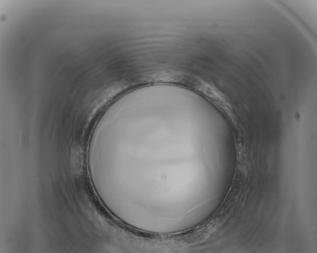 X0000063470012200601271641