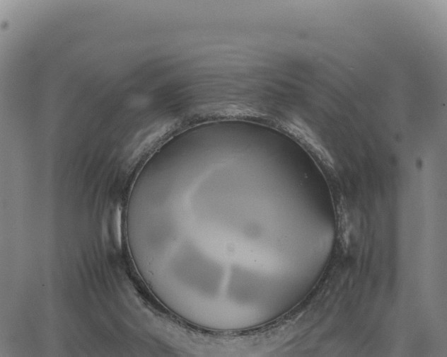 X0000063470014200601271641