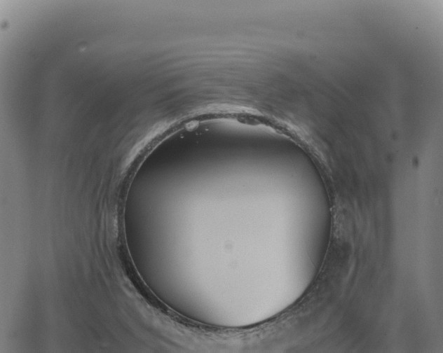 X0000063470015200601271641