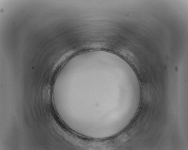 X0000063470016200601271641