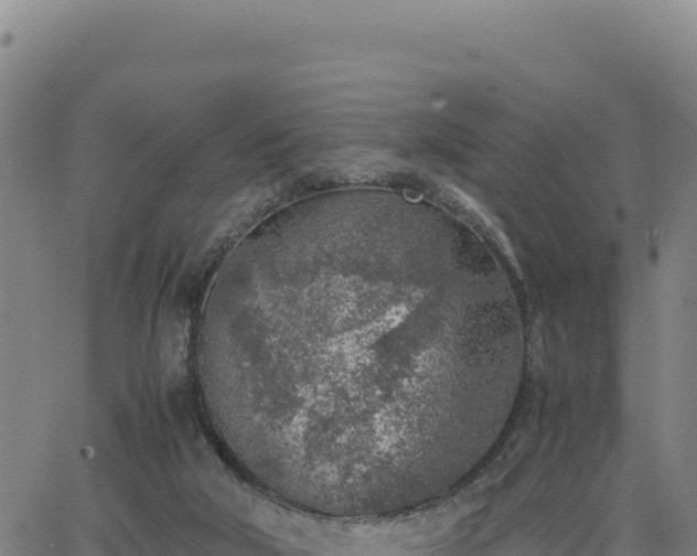 X0000063470018200601271641