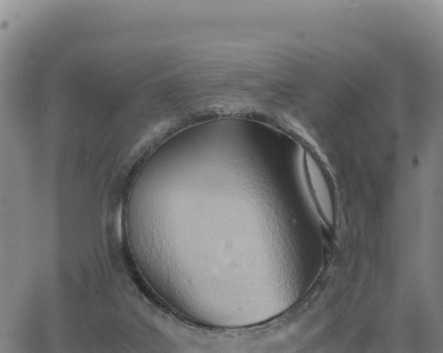 X0000063470019200601271641