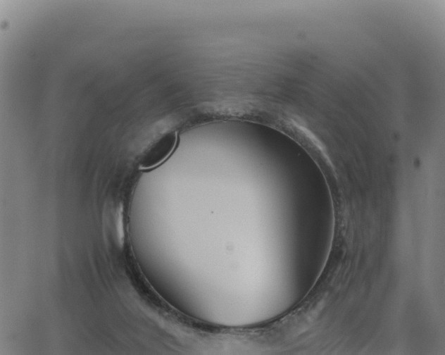 X0000063470020200601271641