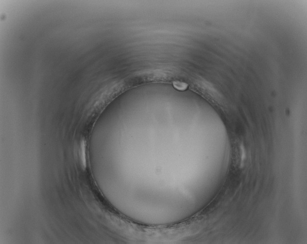 X0000063470022200601271641