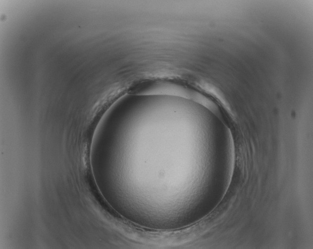 X0000063470023200601271641