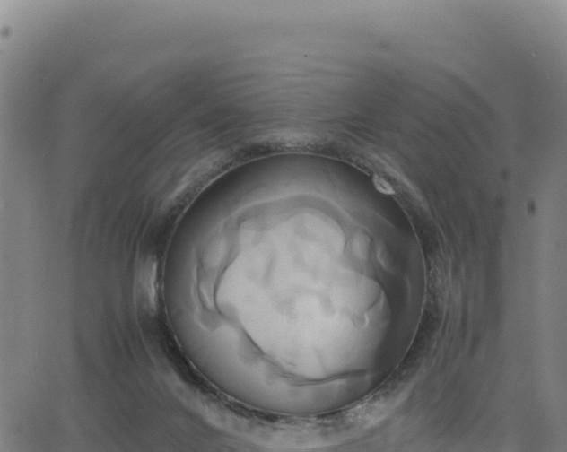 X0000063470024200601271641