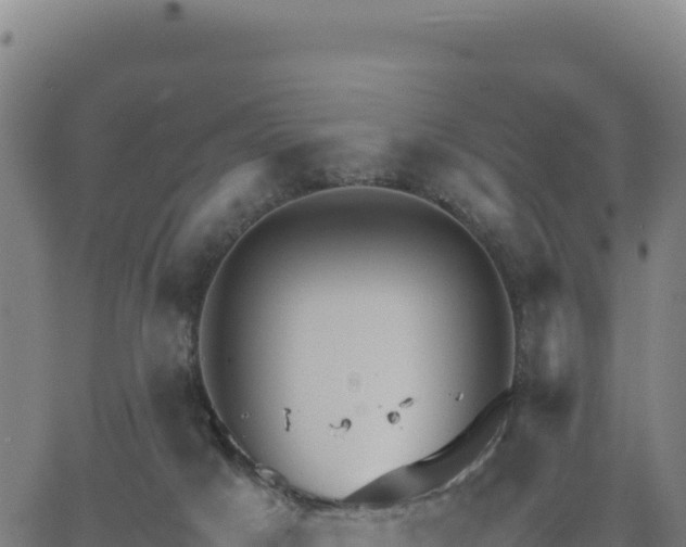 X0000063470025200601271641