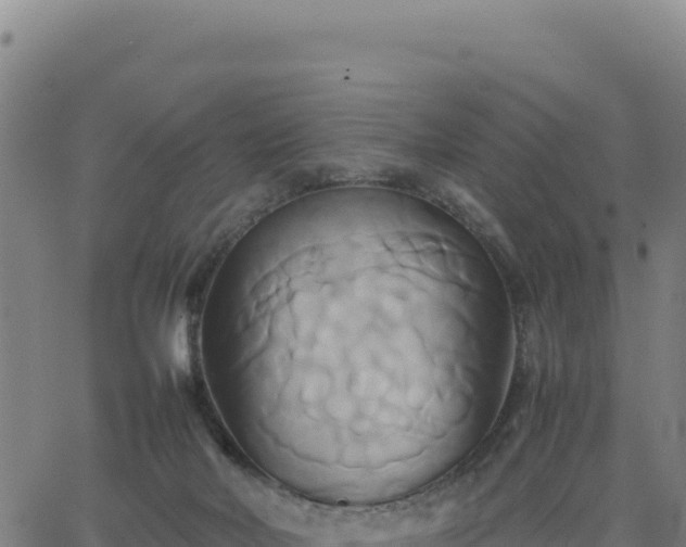 X0000063470026200601271641