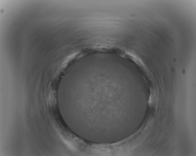 X0000063470029200601271641