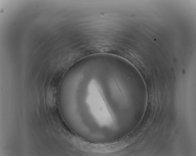 X0000063470030200601271641