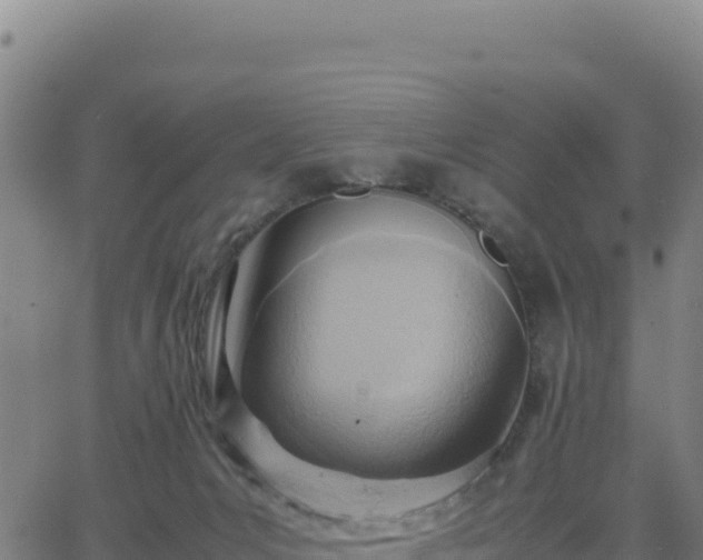 X0000063470031200601271641