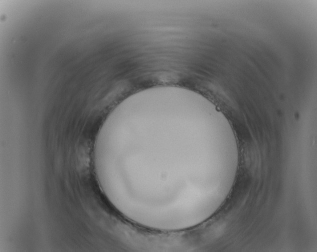 X0000063470032200601271641