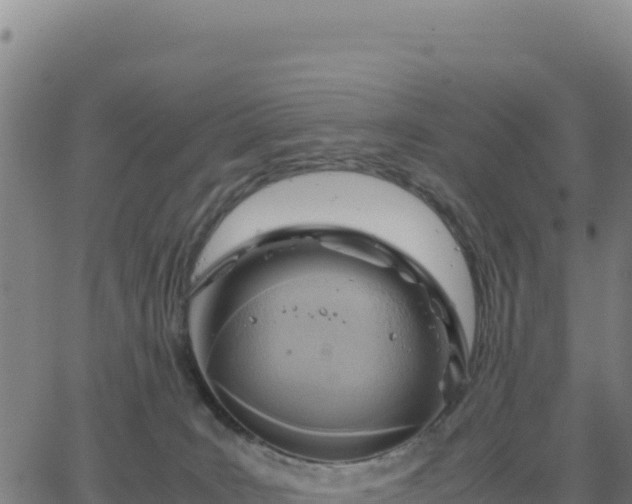 X0000063470035200601271641