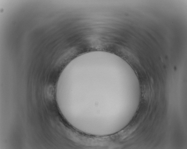 X0000063470036200601271641