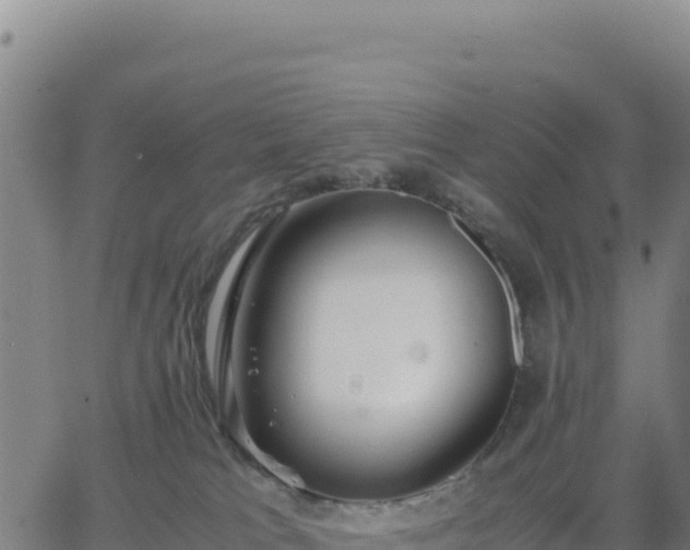 X0000063470037200601271641