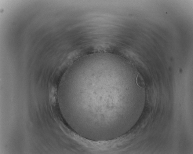 X0000063470038200601271641