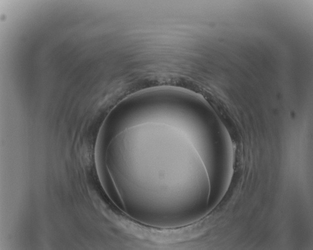 X0000063470039200601271641