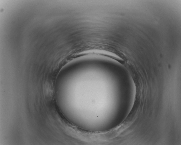 X0000063470040200601271641