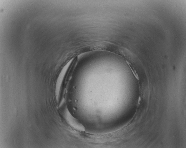 X0000063470041200601271640