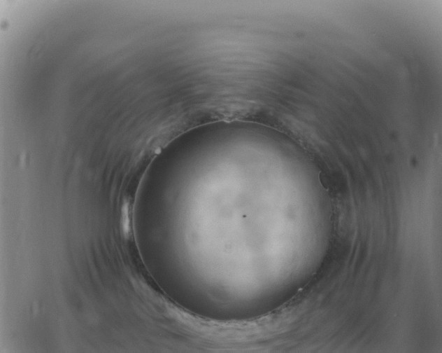 X0000063470042200601271640